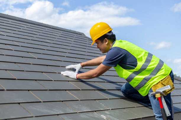 Best Roof Gutter Cleaning  in Mansfield, MO